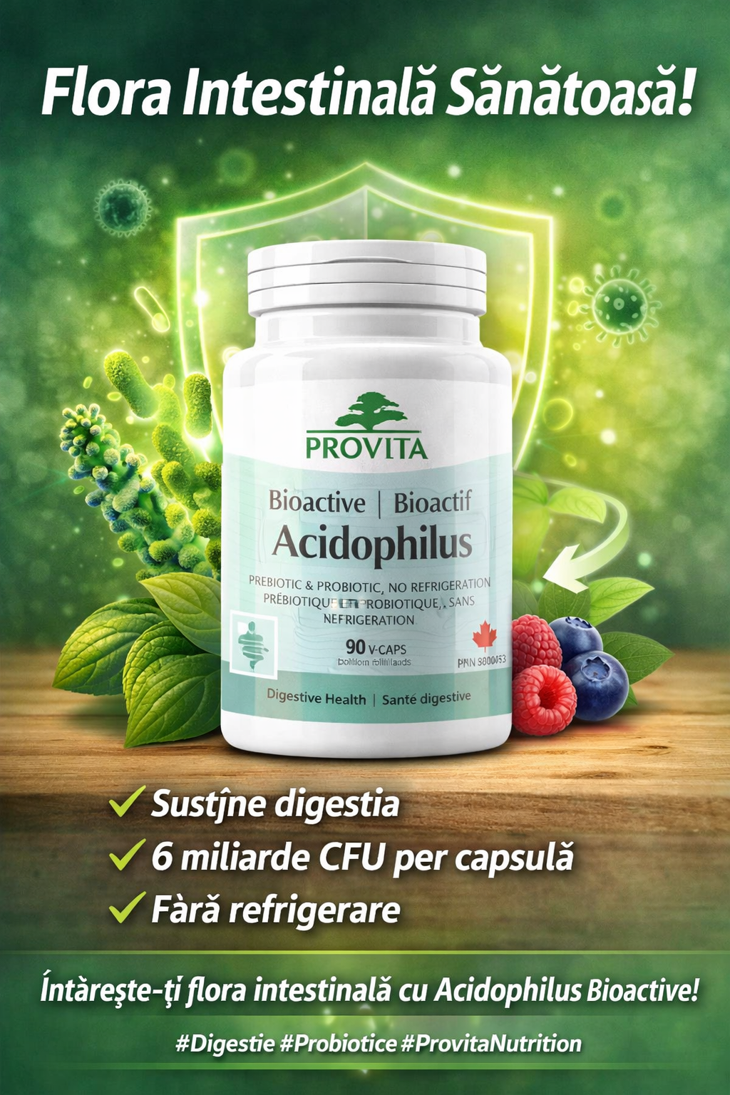 Acidophilus Provita probiotic prebiotic Bio Active Acidophilus - 90 Capsule