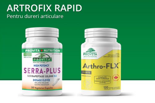 artrofix rapid protocol