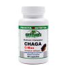 Chaga C-max capsule Provita Nutrition