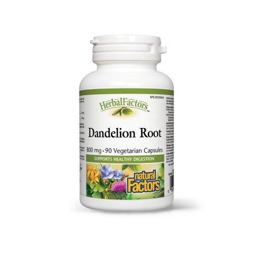 dandelion root natural factors 500x500 1