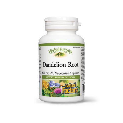 Dandelion root (Rădăcină de Păpădie)