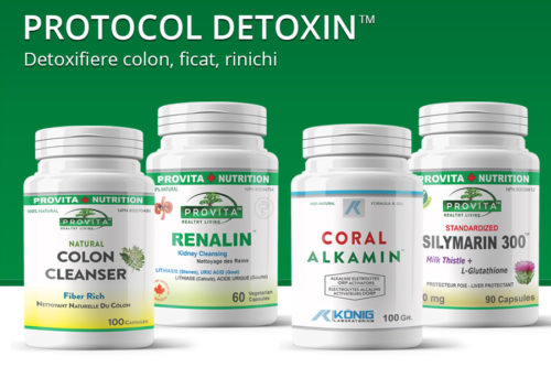 detoxin protocol 500x333 1