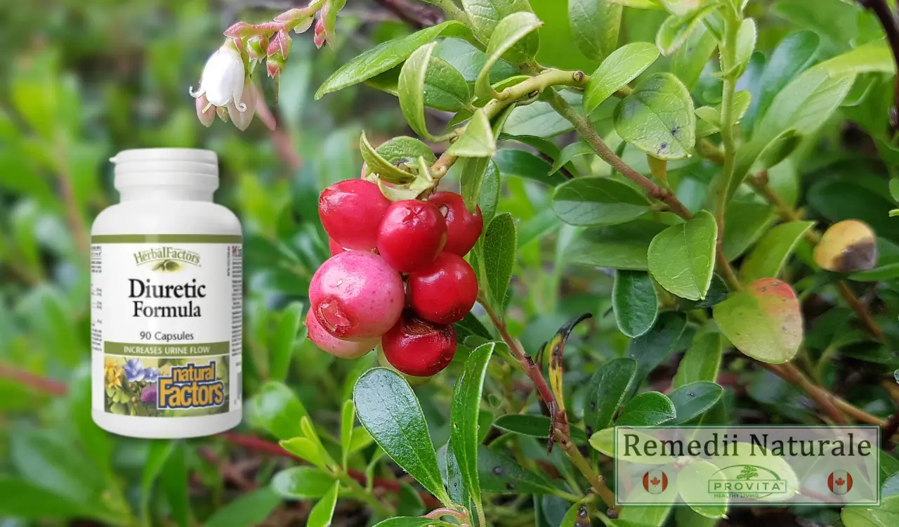diuretice naturale