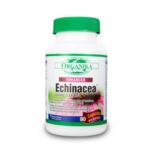 Echinacea fortificata