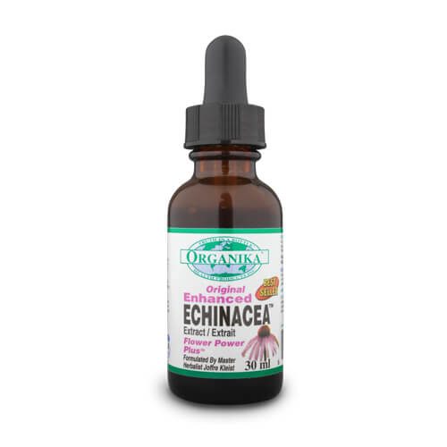 Echinacea fortificata sublinguala - 30 ml