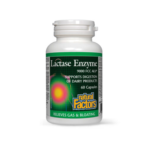 enzime de lactaza lactase enzyme natural factors 500x500 1
