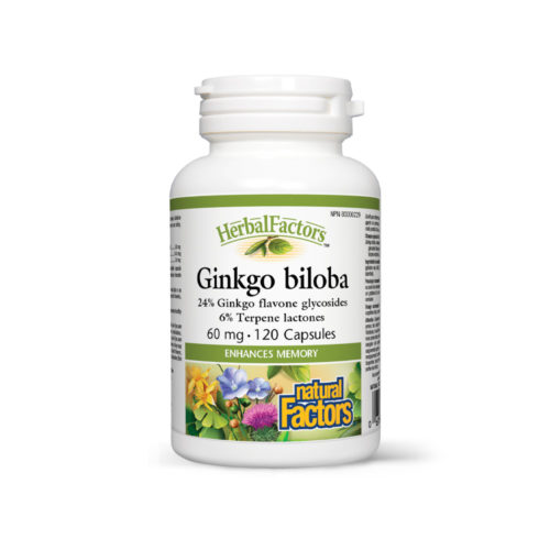 ginkgo biloba herbalfactors natural factors 500x500 1