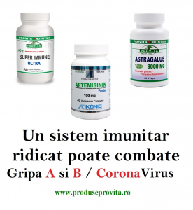 protocol corona virus