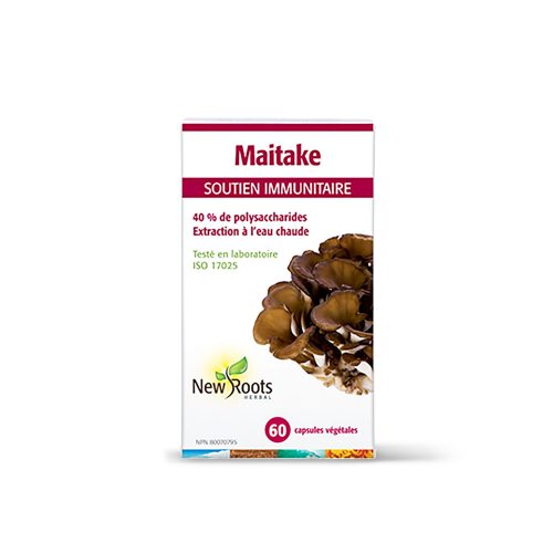 Maitake (Grifola frondosa)
