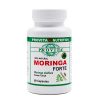 Moringa forte - Arborele Miraculos