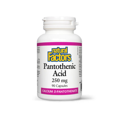 pantothenic acid natural factors 500x500 1