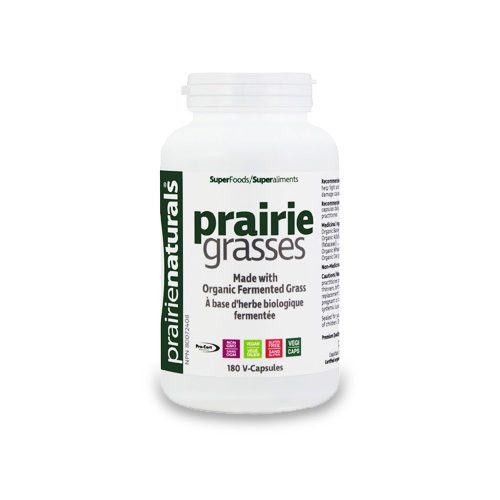 prairie grasses