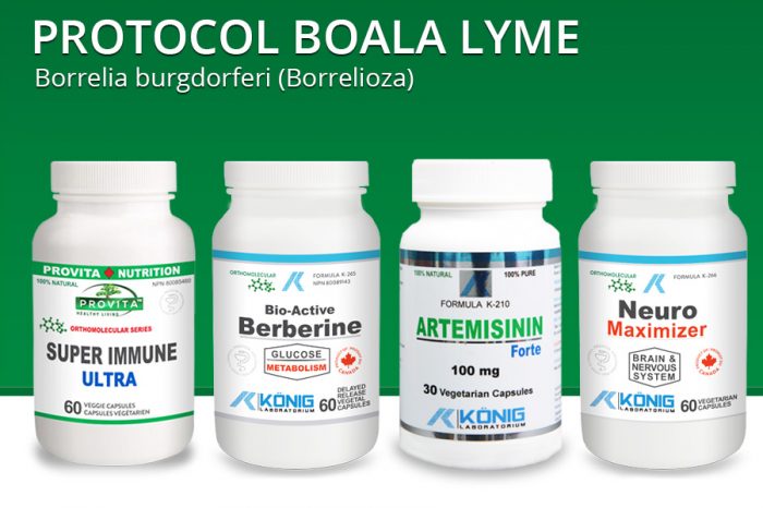 protocol boala lyme