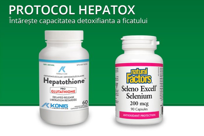 protocol hepatox hepatita