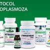 Protocol Toxoplasmoza tratament naturist