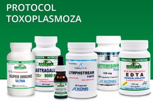 protocol toxoplasmoza