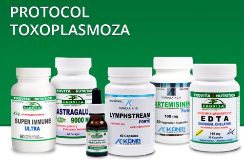 Protocol Toxoplasmoza tratament naturist