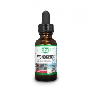 Pycnogenol standardizat - 30 ml (2.000 mg picnogenol)