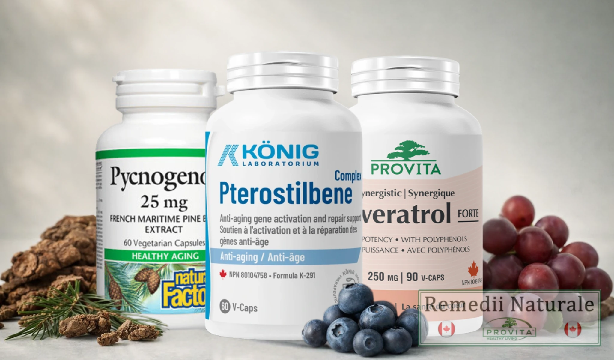 pycnogenol vs pterostilben vs resveratrol comparatie suplimente Pycnogenol, Pterostilben si Resveratrol suplimente antioxidante cu pin maritim, afine si struguri rosii