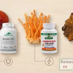 Comparatie vizuala intre ciupercile terapeutice Reishi, Cordyceps si Chaga cu flacoane de suplimente pe fundal deschis