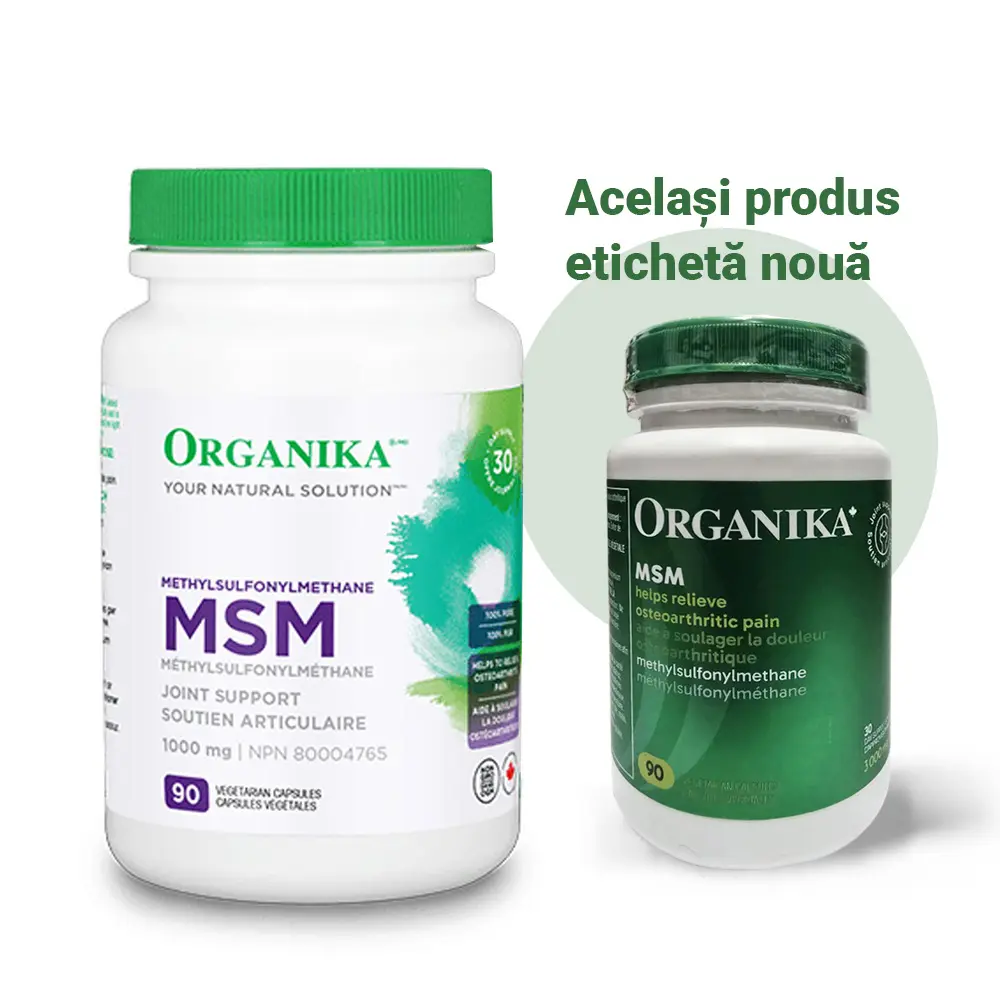 MSN Organika MSN Organika